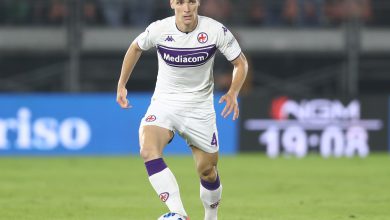 Nikola Milenkovic - Fiorentina