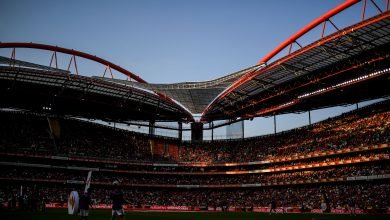 Estadio da Luz Benfica-Inter