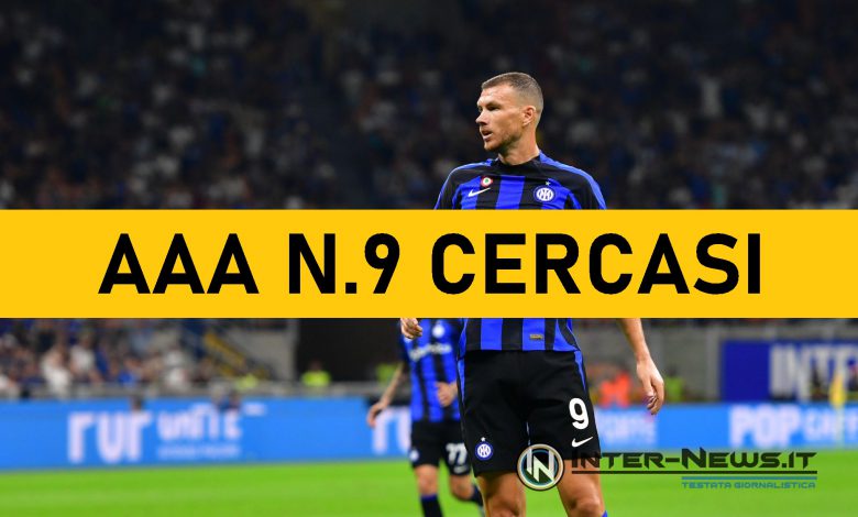 Edin Dzeko, addio Inter dopo due stagioni intense (Photo Inter-News.it ©)