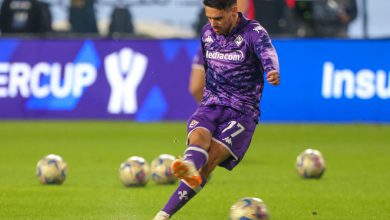 Josip Brekalo Napoli-Fiorentina